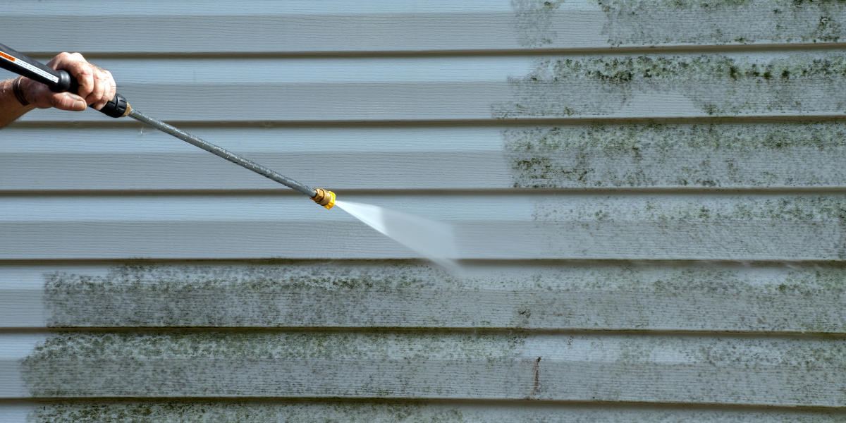 Local Exterior Painting Service 