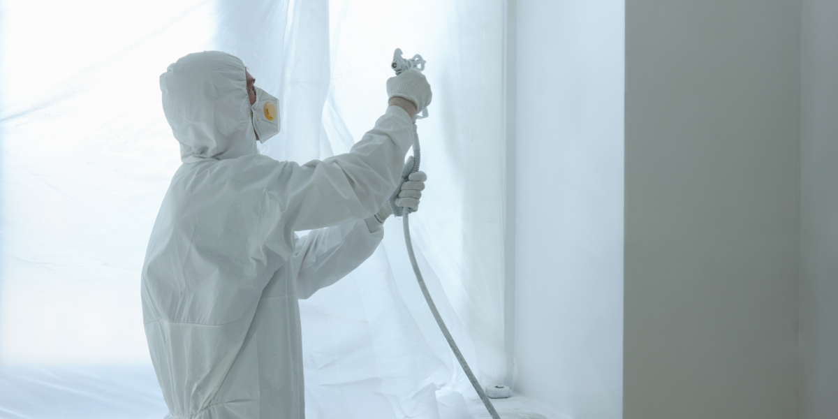 You are currently viewing Can Office Window Frames Be Spray-Painted?