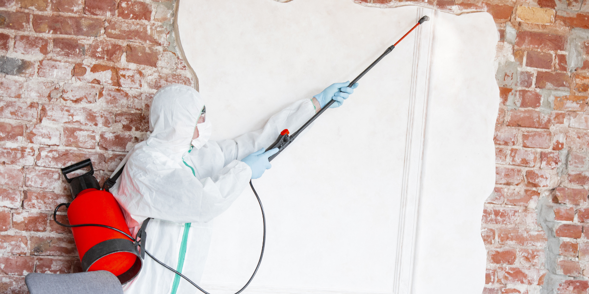 You are currently viewing Top Benefits of UPVC Spray Painting for Berkshire